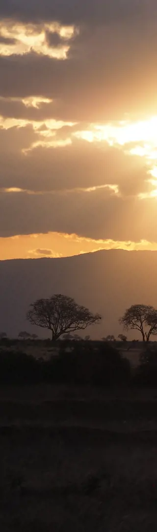 Guten Abend Kenia